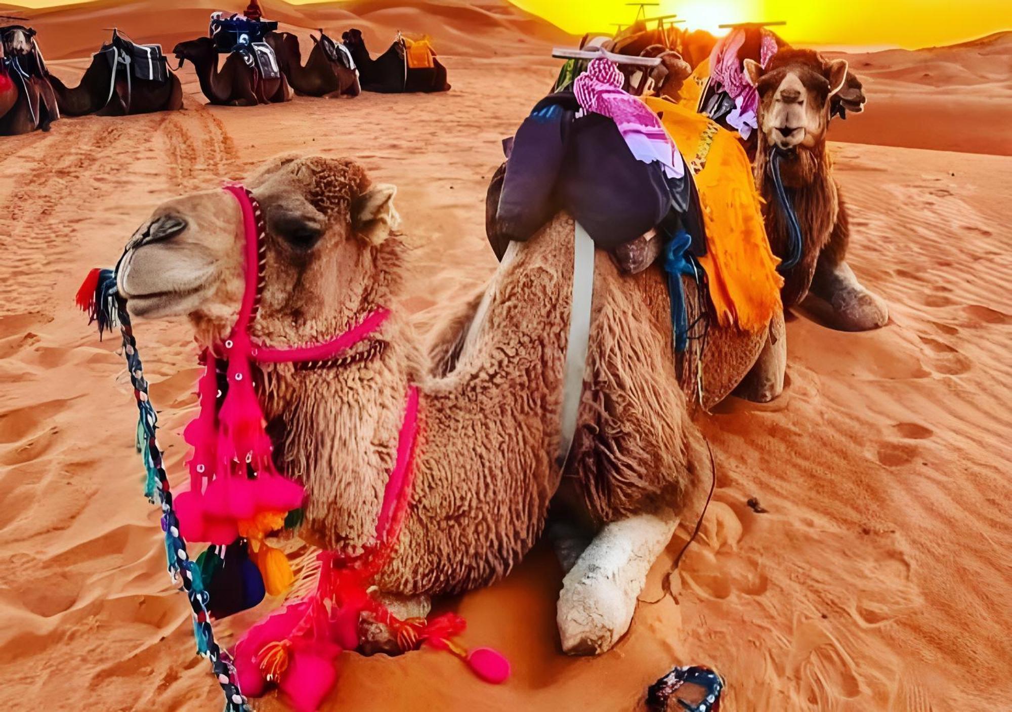 Top Desert Luxury Camp Merzouga Ngoại thất bức ảnh
